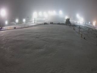 Zieleniec Sport Arena - Bartuś