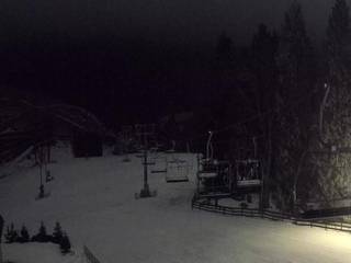 Zieleniec Sport Arena - Mieszko