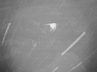 Wexl Arena Corona Coaster