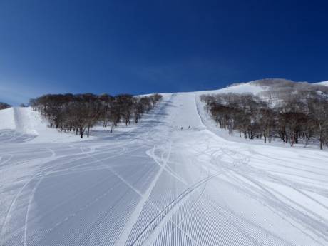 Pistenangebot Japan – Pistenangebot Niseko United – Annupuri/Grand Hirafu/Hanazono/Niseko Village
