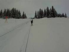 Video Salmonberry – Valdez