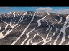 Video Stoneham