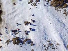 Video Primeros Pinos