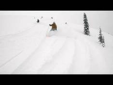 Video Cariboos