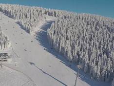 Video Svoboda nad Úpou