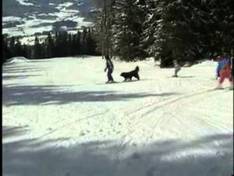 Video Tonnerhütte – Mühlen