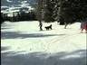 Film/Video vom Skigebiet Tonnerhütte – Mühlen