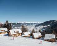 Alm Chalet Dorf Schlögelberger