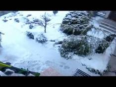 Video Zliechov