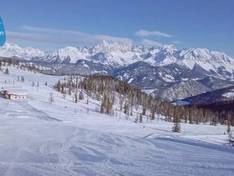 Video Fageralm – Forstau