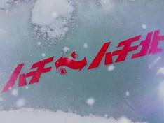 Video Hachikogen/Hachi Kita Kogen