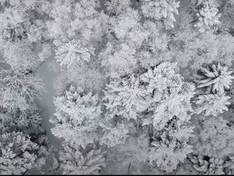 Video Niseko United – Annupuri/Grand Hirafu/Hanazono/Niseko Village