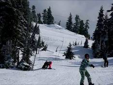 Video Hurricane Ridge
