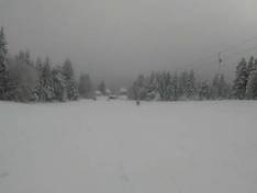 Video Lamm – Kniebis