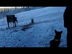 Video Aboda Klint – Högsby