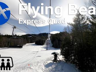Flying Bear Express Quad